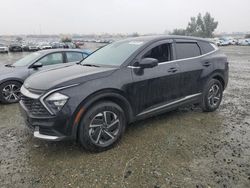 Salvage cars for sale at Antelope, CA auction: 2023 KIA Sportage LX