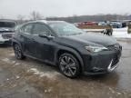 2019 Lexus UX 250H