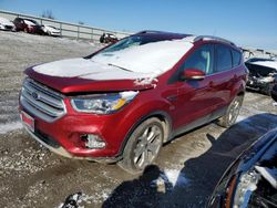 Salvage cars for sale at Earlington, KY auction: 2019 Ford Escape Titanium