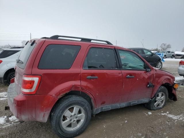 2011 Ford Escape XLT