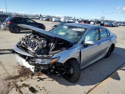 Salvage cars for sale at Sacramento, CA auction: 2024 Toyota Camry LE