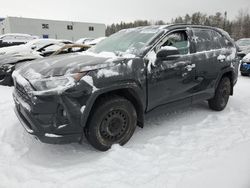 Salvage cars for sale from Copart Cookstown, ON: 2019 Toyota Rav4 Limited