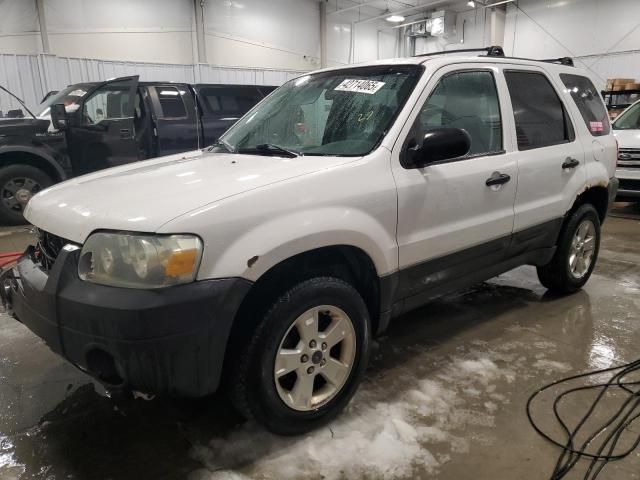 2005 Ford Escape XLT