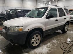 2005 Ford Escape XLT en venta en Wayland, MI