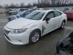 2013 Lexus ES 300H