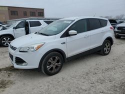 Salvage cars for sale at Kansas City, KS auction: 2014 Ford Escape SE