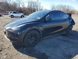 2023 Tesla Model Y en venta en Marlboro, NY