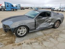 Salvage cars for sale at Sun Valley, CA auction: 2010 Ford Mustang