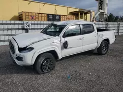 Salvage cars for sale from Copart Miami, FL: 2023 Toyota Tacoma Double Cab