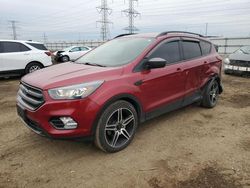 Salvage cars for sale at Elgin, IL auction: 2019 Ford Escape SEL