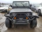 1995 Jeep Wrangler / YJ S