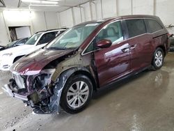 Carros salvage a la venta en subasta: 2014 Honda Odyssey EXL