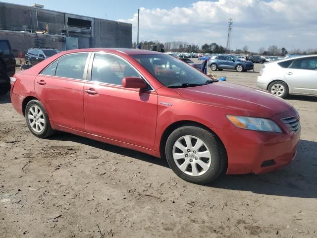 2008 Toyota Camry Hybrid