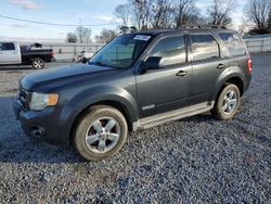 Salvage cars for sale at Gastonia, NC auction: 2008 Ford Escape Limited