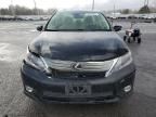 2011 Lexus HS 250H