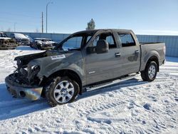 Salvage trucks for sale at Bismarck, ND auction: 2014 Ford F150 Supercrew