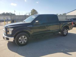 Salvage cars for sale at Florence, MS auction: 2016 Ford F150 Supercrew