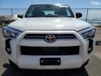 2024 Toyota 4runner SR5/SR5 Premium