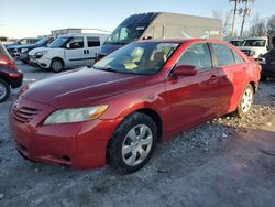 Salvage cars for sale at Wayland, MI auction: 2008 Toyota Camry CE