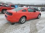 2013 Ford Mustang