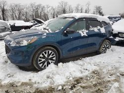 Salvage cars for sale at Baltimore, MD auction: 2020 Ford Escape SE Sport