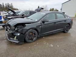 Salvage Cars with No Bids Yet For Sale at auction: 2018 Hyundai Sonata SE