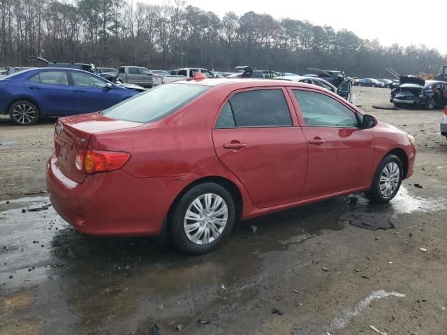 2010 Toyota Corolla Base