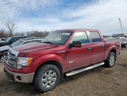 Salvage trucks for sale at Des Moines, IA auction: 2014 Ford F150 Supercrew