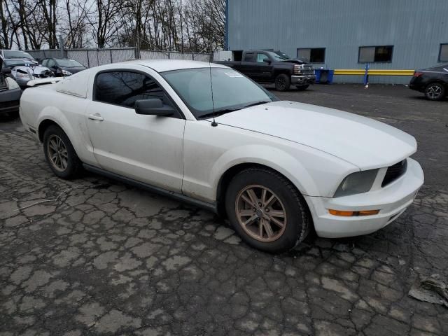 2005 Ford Mustang