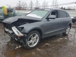 Salvage cars for sale at New Britain, CT auction: 2016 Audi Q5 Premium Plus S-Line