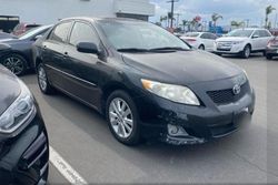 Vehiculos salvage en venta de Copart Rancho Cucamonga, CA: 2009 Toyota Corolla Base