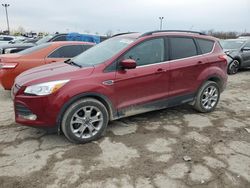 Salvage cars for sale at Indianapolis, IN auction: 2015 Ford Escape SE