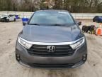 2024 Honda Odyssey EXL