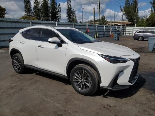 2024 Lexus NX 250 Premium