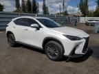 2024 Lexus NX 250 Premium