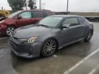 2014 Scion TC