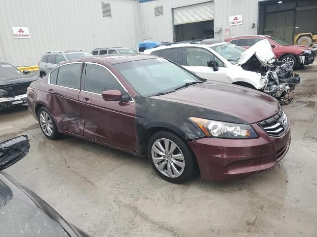 2011 Honda Accord EXL