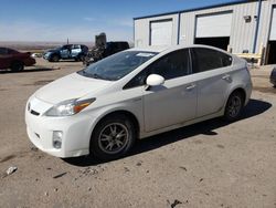 Salvage cars for sale at Albuquerque, NM auction: 2011 Toyota Prius