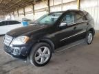 2010 Mercedes-Benz ML 350