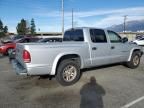 2002 Dodge Dakota Quad Sport