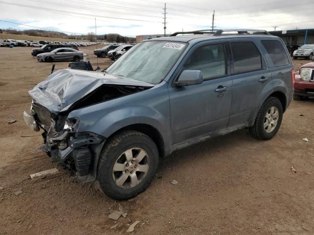 2011 Ford Escape Limited