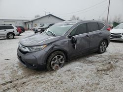 Salvage cars for sale at Pekin, IL auction: 2019 Honda CR-V EX