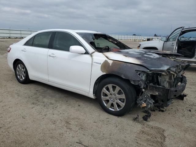 2009 Toyota Camry Hybrid