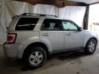 2010 Ford Escape Limited