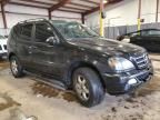 2003 Mercedes-Benz ML 500