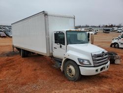 Hino salvage cars for sale: 2024 Hino Hino L6