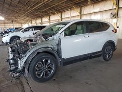 Salvage cars for sale at Phoenix, AZ auction: 2020 Honda CR-V EXL