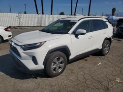 Salvage cars for sale at Van Nuys, CA auction: 2024 Toyota Rav4 XLE