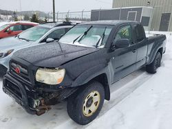 Salvage cars for sale at Elmsdale, NS auction: 2005 Toyota Tacoma Access Cab