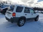 2006 Ford Escape HEV